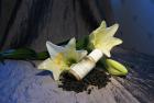 Bild �ver produkt