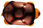 Bild �ver produkt